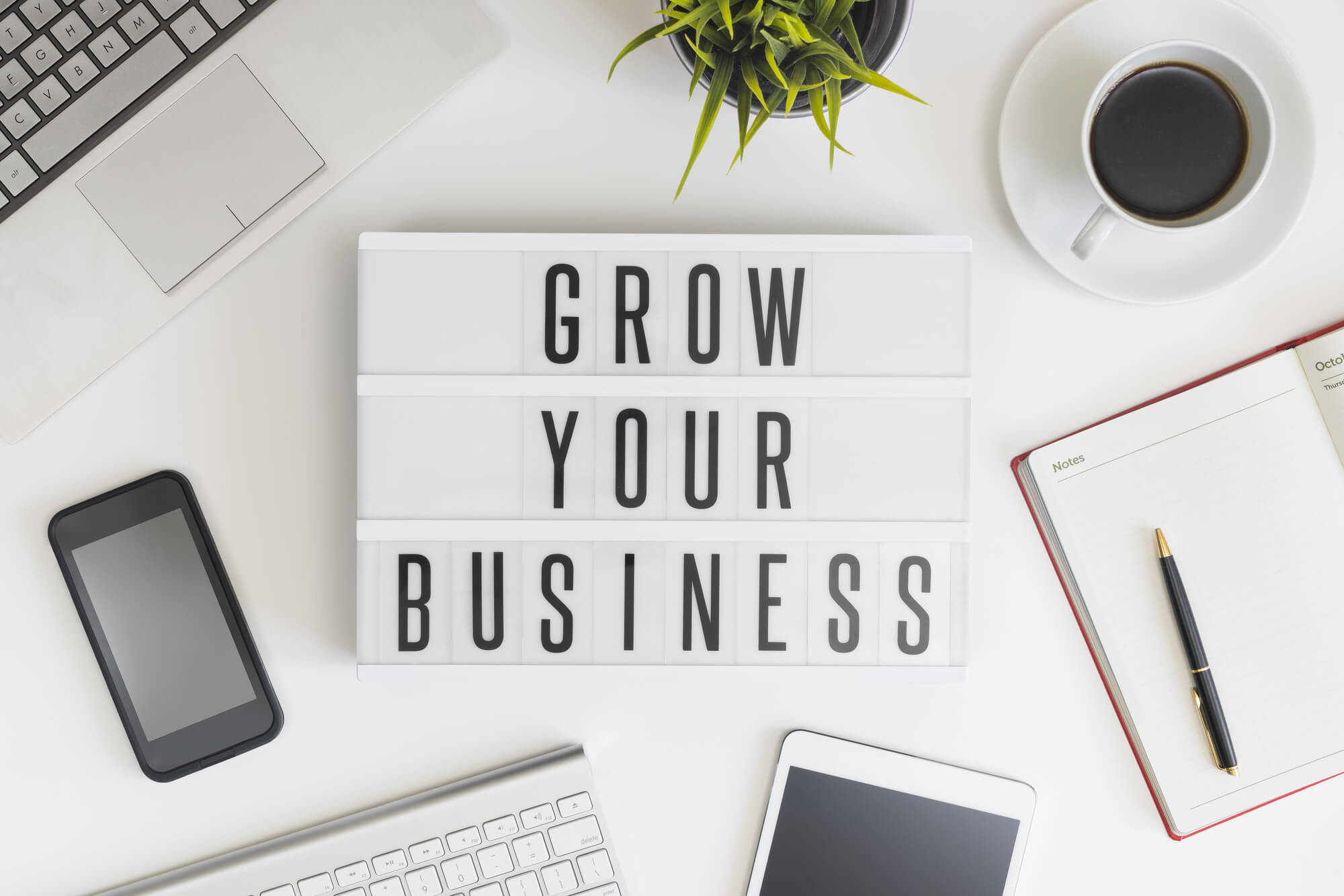 Your New Business Setup and Consulting